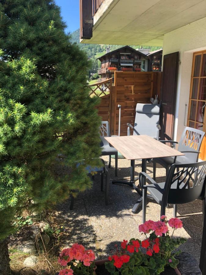 L'Herensarde, Bel Appartement Avec Jardin-Terrasse Et Garage Evolène المظهر الخارجي الصورة